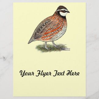 Bobwhite Quail Rooster Flyer