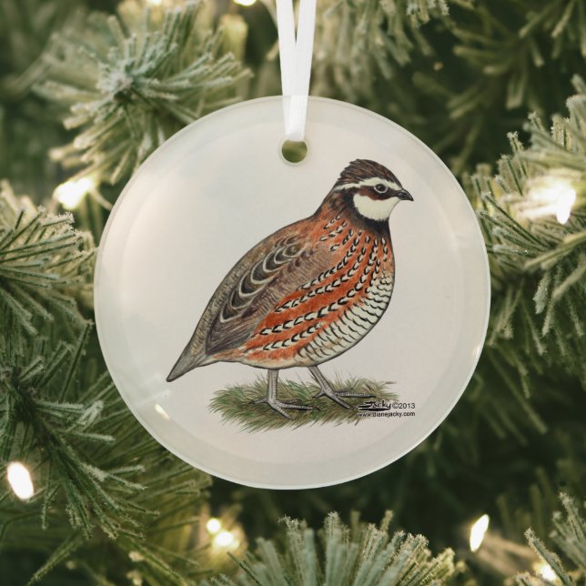 Bobwhite Quail Rooster Glass Tree Decoration (Insitu)