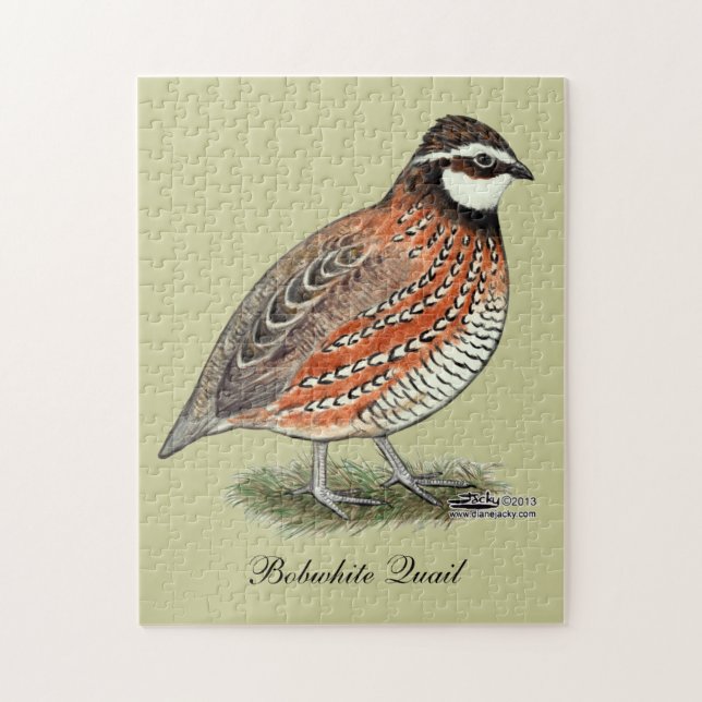 Bobwhite Quail Rooster Jigsaw Puzzle (Vertical)