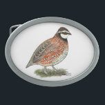 Bobwhite Quail Rooster Oval Belt Buckle<br><div class="desc">The little Bobwhite quail is a beloved game bird over much of its range.  The colouring is quite variable,  a typical rooster is shown here.</div>