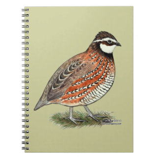 Bobwhite Quail Rooster Spiral Notebook