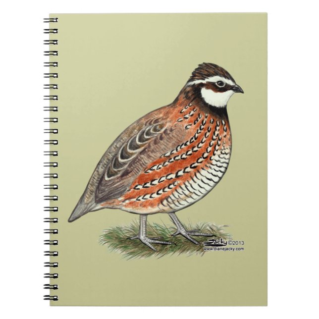 Bobwhite Quail Rooster Spiral Notebook (Front)