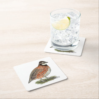 Bobwhite Quail Rooster Square Paper Coaster