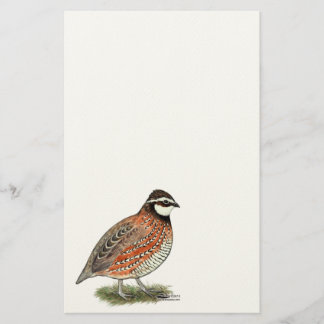 Bobwhite Quail Rooster Stationery