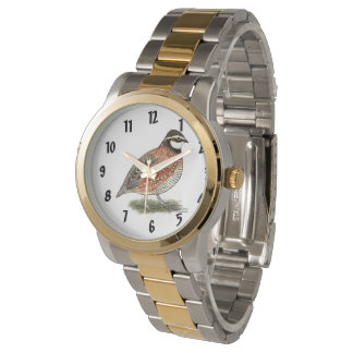 Bobwhite Quail Rooster Watch