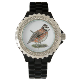 Bobwhite Quail Rooster Watch
