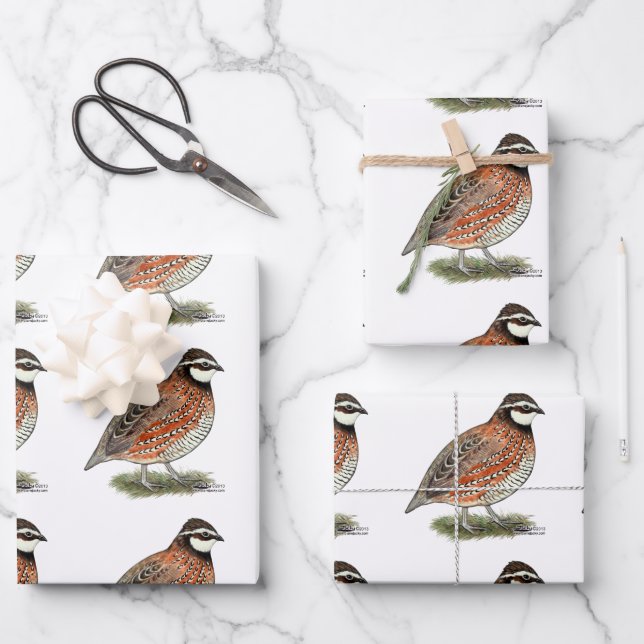Bobwhite Quail Rooster Wrapping Paper Sheet (Front)