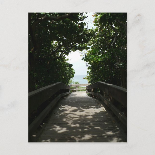 Boca Beach Boardwalk Postcard (Front)