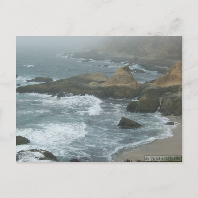BODEGA BAY POSTCARD #2 (Front)