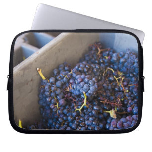 Bodega Marques de Riscal winery, grapes Laptop Sleeve