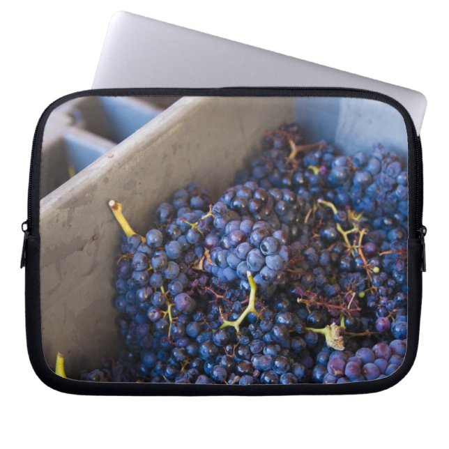 Bodega Marques de Riscal winery, grapes Laptop Sleeve (Front)