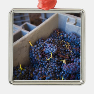 Bodega Marques de Riscal winery, grapes Metal Tree Decoration