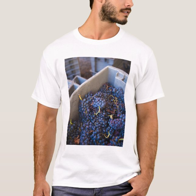Bodega Marques de Riscal winery, grapes T-Shirt (Front)