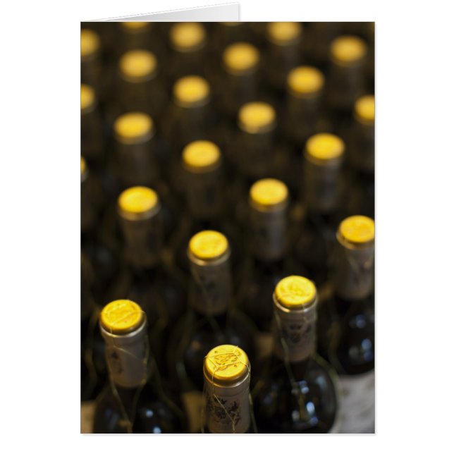 Bodega Marques de Riscal winery, wine bottles (Front)