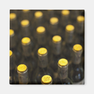 Bodega Marques de Riscal winery, wine bottles Magnet