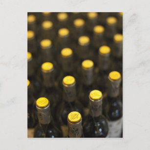 Bodega Marques de Riscal winery, wine bottles Postcard