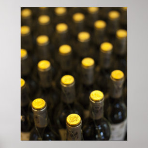 Bodega Marques de Riscal winery, wine bottles Poster