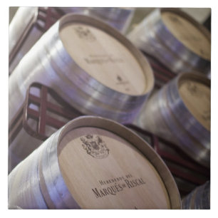 Bodega Marques de Riscal winery, wine cellar Tile