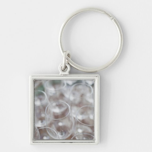 Bodega Marques de Riscal winery, wine tasting Key Ring (Front)