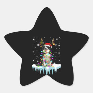 Boder Colline Reindeer Christmas Present Star Sticker