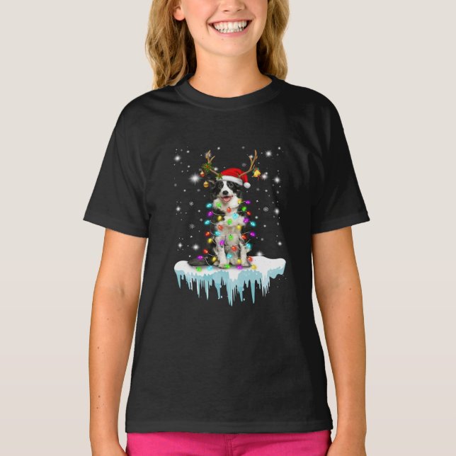 Boder Colline Reindeer Christmas Present T-Shirt (Front)
