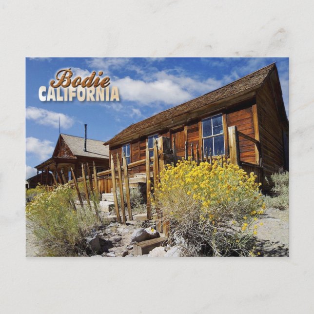 Bodie Ghost Town, California Postcard (Front)