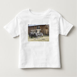 Bodie State Historic Park, CA Toddler T-Shirt