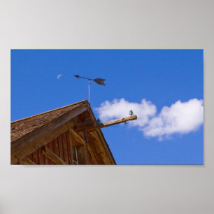 Bodie Weather Vane and Moon Colour Poster