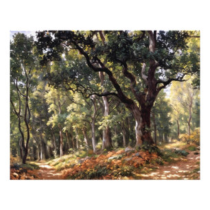 Bodmer Oak Photo Print