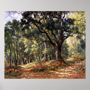 Bodmer Oak Poster