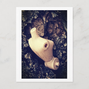 body in the woods postcard