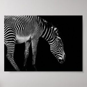 Body Language Print