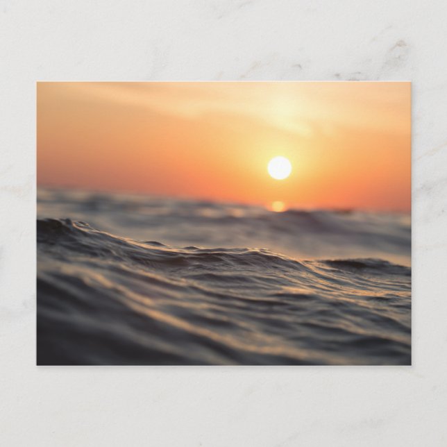 Body of Water During Golden Hour Postcard (Front)