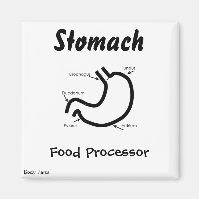 Body Parts -- Human Stomach Magnet (Front)
