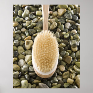 Body scrub brush on rocks poster