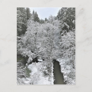 Boeckman Creek in Winter, Oregon Postcard