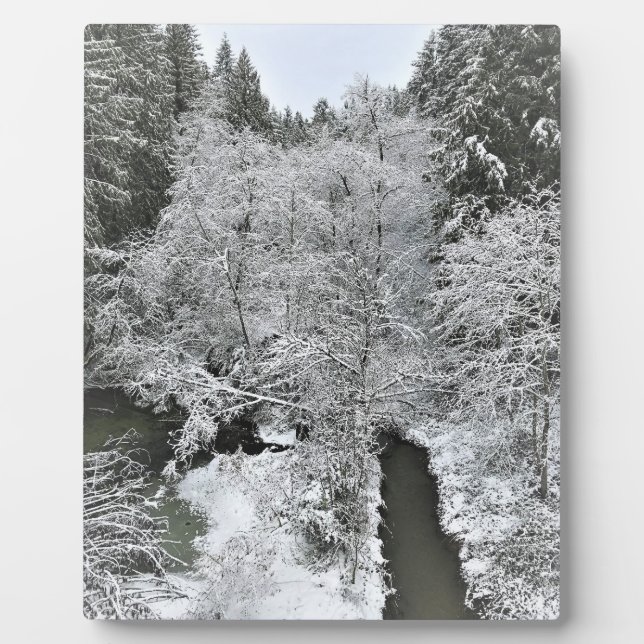 Boeckman Creek in Winter Plaque (Front)