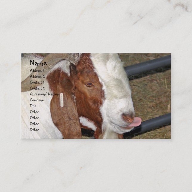 Boer Goat Billy Sticking His Tongue Out Business Card (Front)