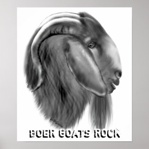 Boer Goat Poster