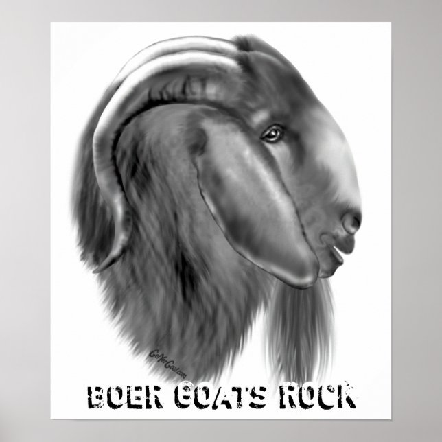 Boer Goat Poster (Front)