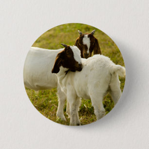 Boer Goats in Sunny Pasture Farm Animal Nature 6 Cm Round Badge