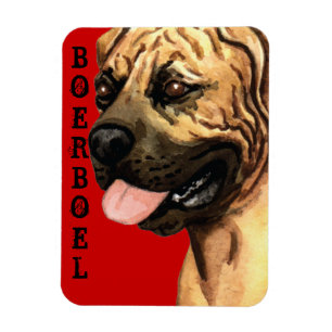 Boerboel Colour Block Magnet