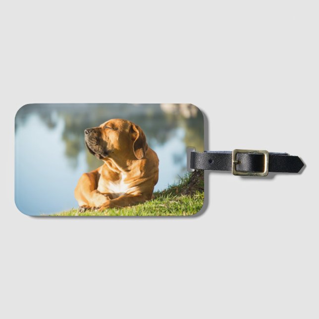 Boerboel Luggage Tag (Front Horizontal)