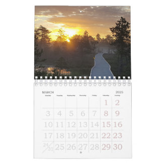 Bog Light Estonian Bogs  Calendar