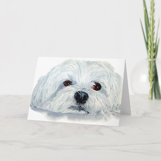 Bogart the Maltese Greeting Card (Front)