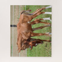BOGO Babies Puzzle 1