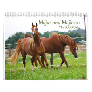 BOGO Colts Calendar 3 year old pics