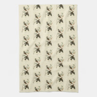 Bohemian Chatterer (Waxwing) Audubon Birds America