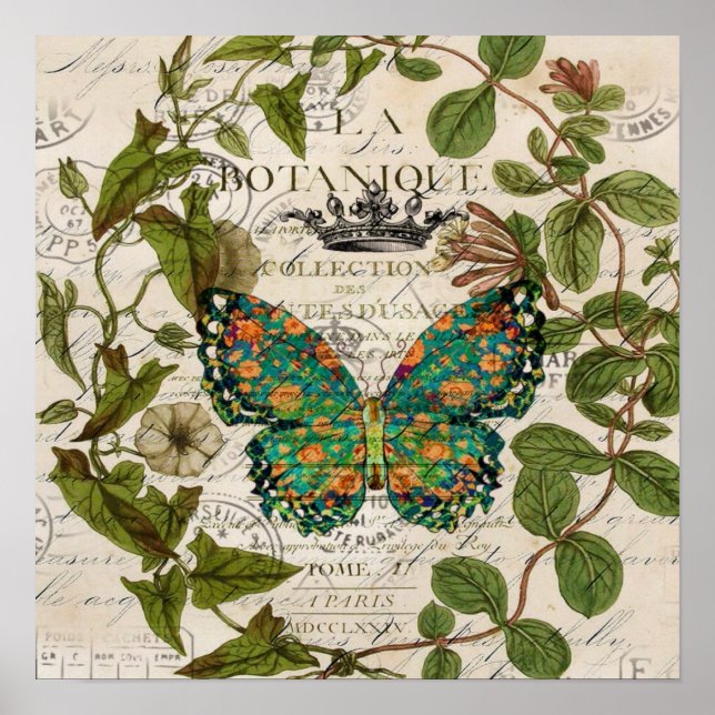 bohemian scripts french botanical butterfly poster (Front)