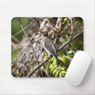 Bohemian Waxwing, Canadian Avian Photography Mouse Pad